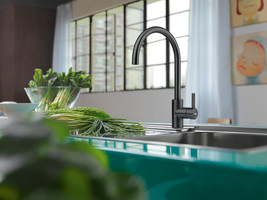 Kuhinjske-armature-2/EOS-NEO-FIKSNA-IND.CRNA-ARMATURA-FRANKE_1