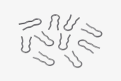 ZATIČ KUHINJSKEGA APARATA BOSCH  00420936