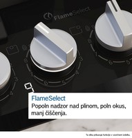 novo-uvozeni-izdelki/26405439_FHI_BO_SV_FlameSelect_sl-SI