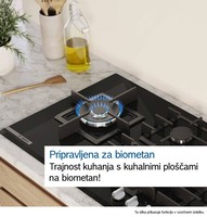 novo-uvozeni-izdelki/26405945_FHI_BO_SV_BiomethaneReady_sl-SI